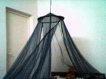 Moustiquaire de notre chambre
